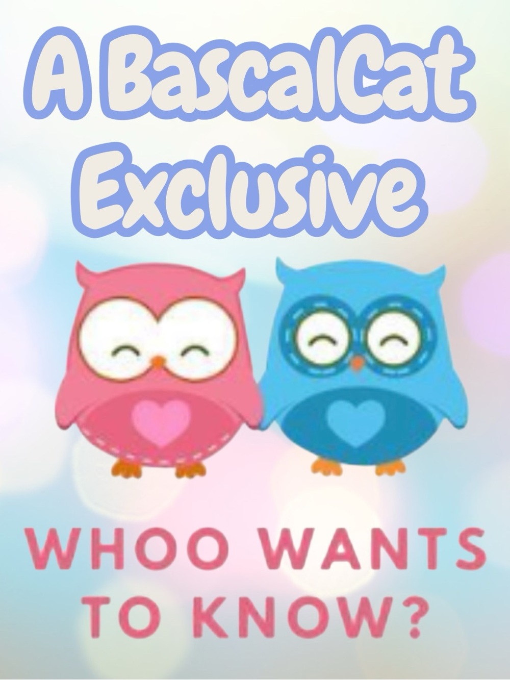 BascalCat Exclusive
